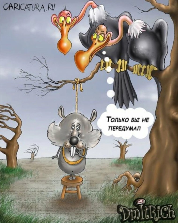 Прощение карикатура