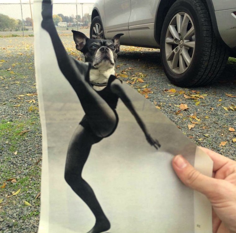 Мем на у тебя выпало