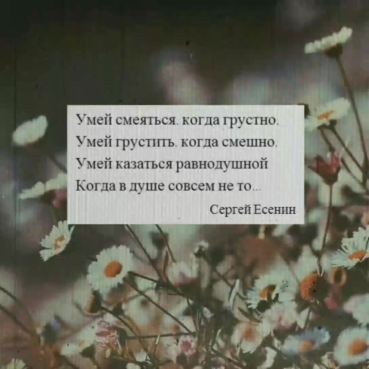 Леонардо ди Каприо ИДТ