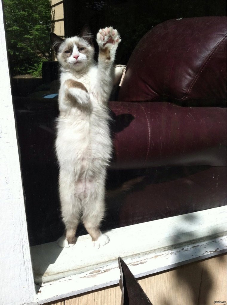 Слова о предательстве любимого