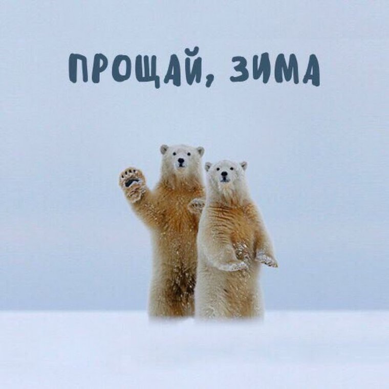 Фотографии разлука