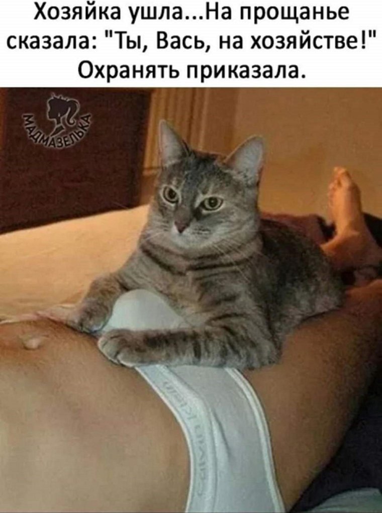 Прикольные картинки ржака