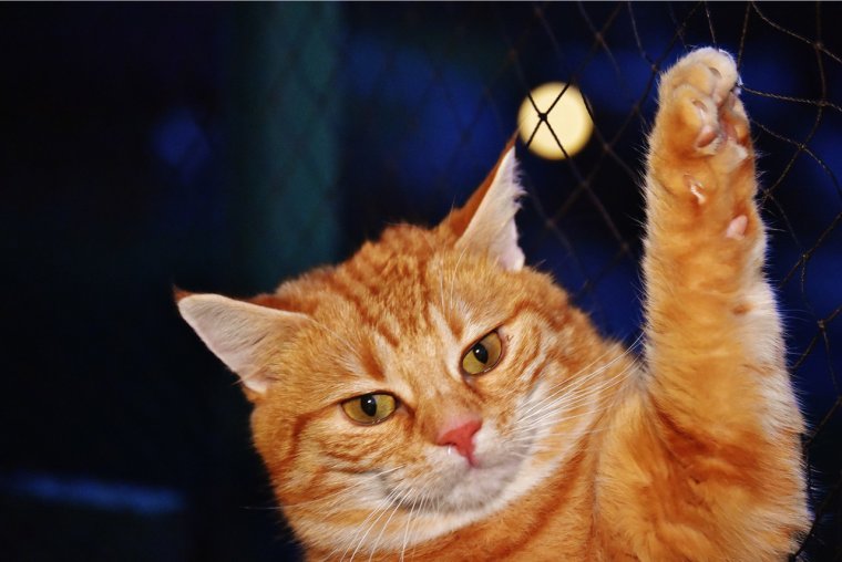 Мем держи у тебя выпало