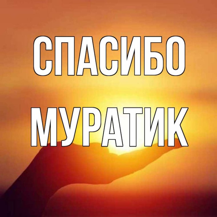 Виталик всегда прав