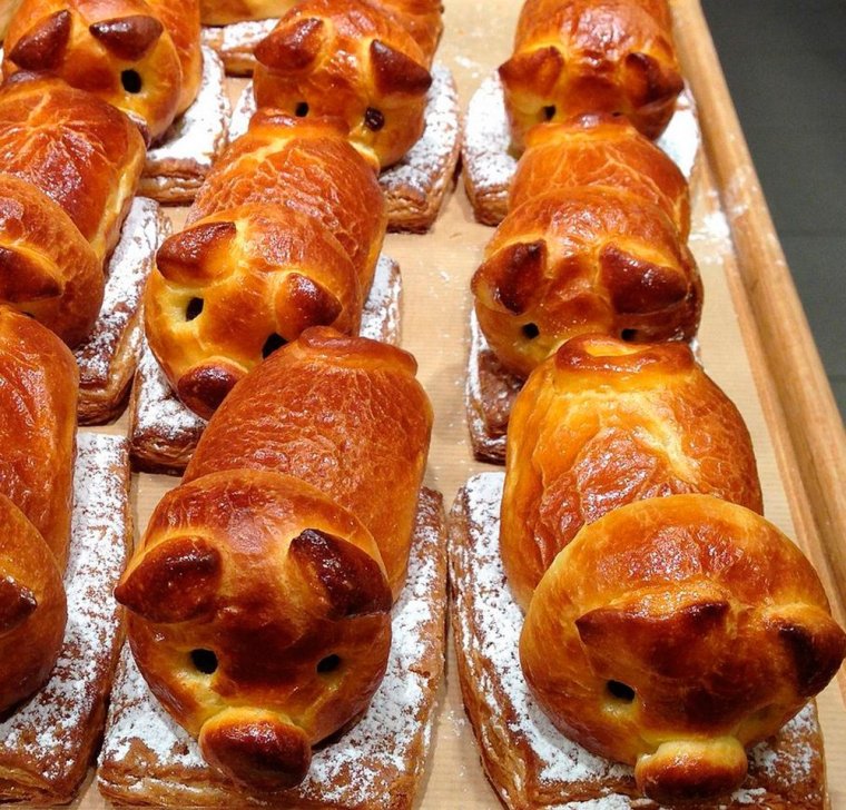 Котик булочка