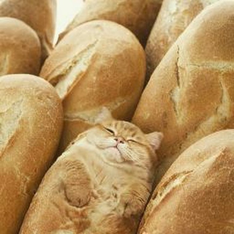 Смешные сосиски в тесте