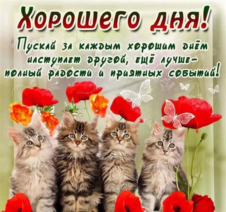 Открытки улыбнись