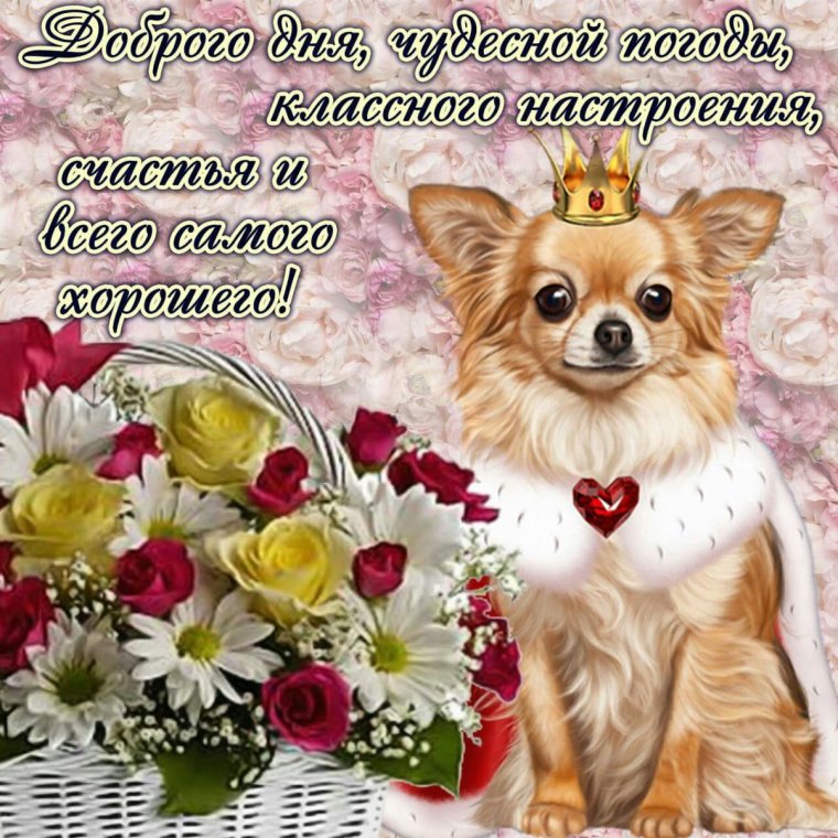 Открытки с понедельником прикольные