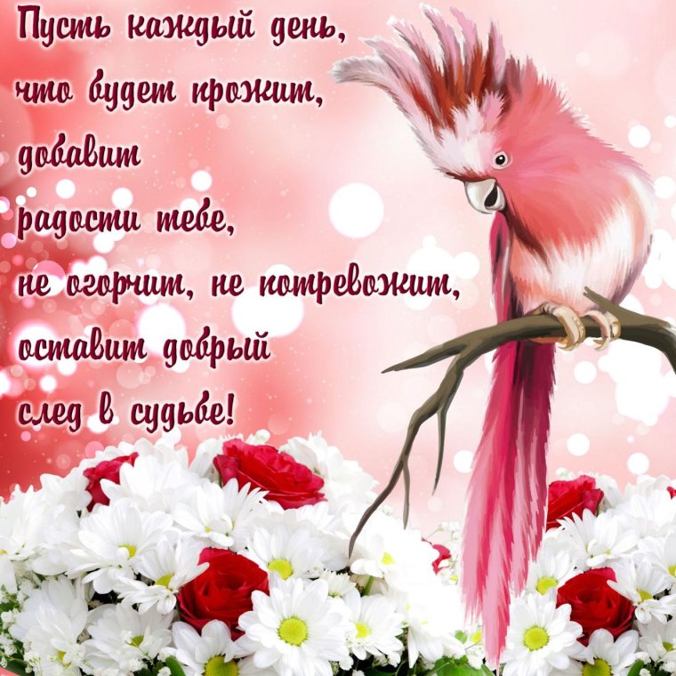 Открытки с пожеланиями