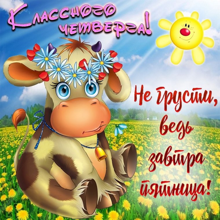 Пожелания хорошей среды