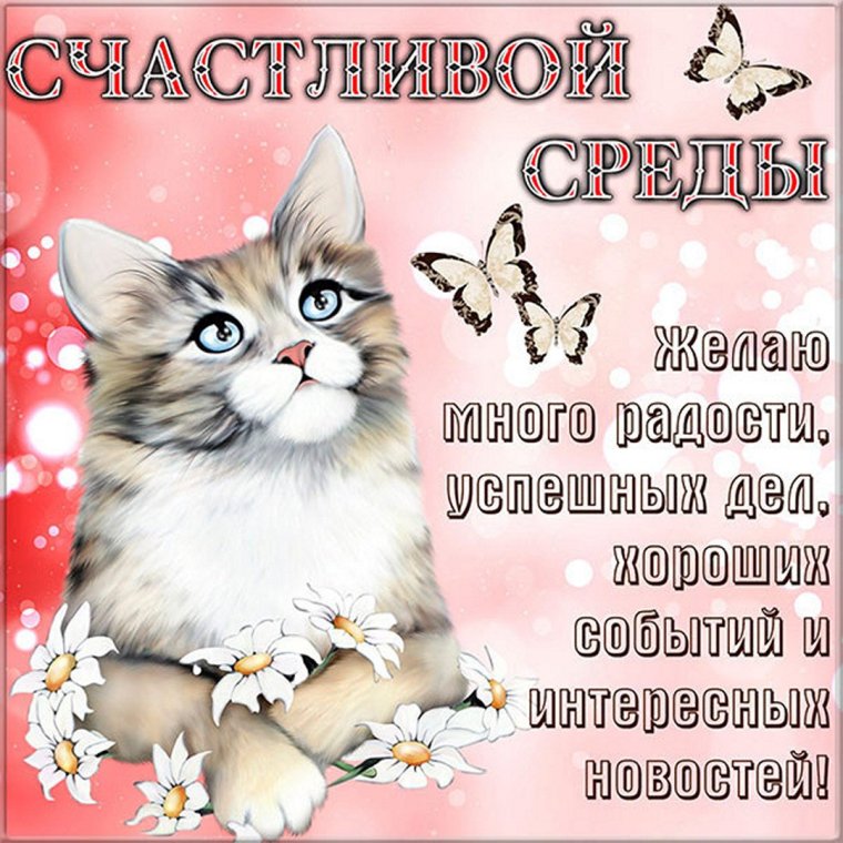 Открытки с понедельником