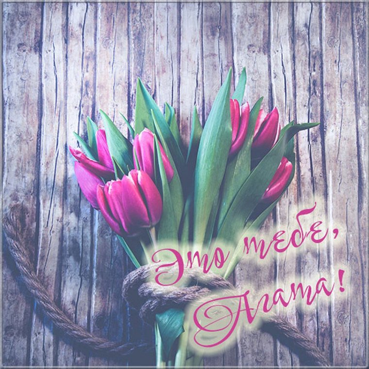 Полина я тебя люблю