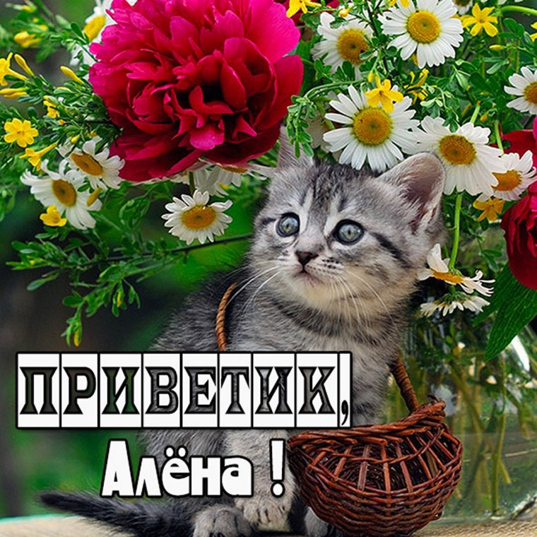 Женское имя Алена