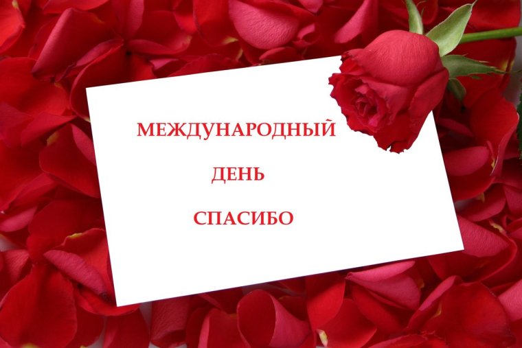 Приколы про Колю