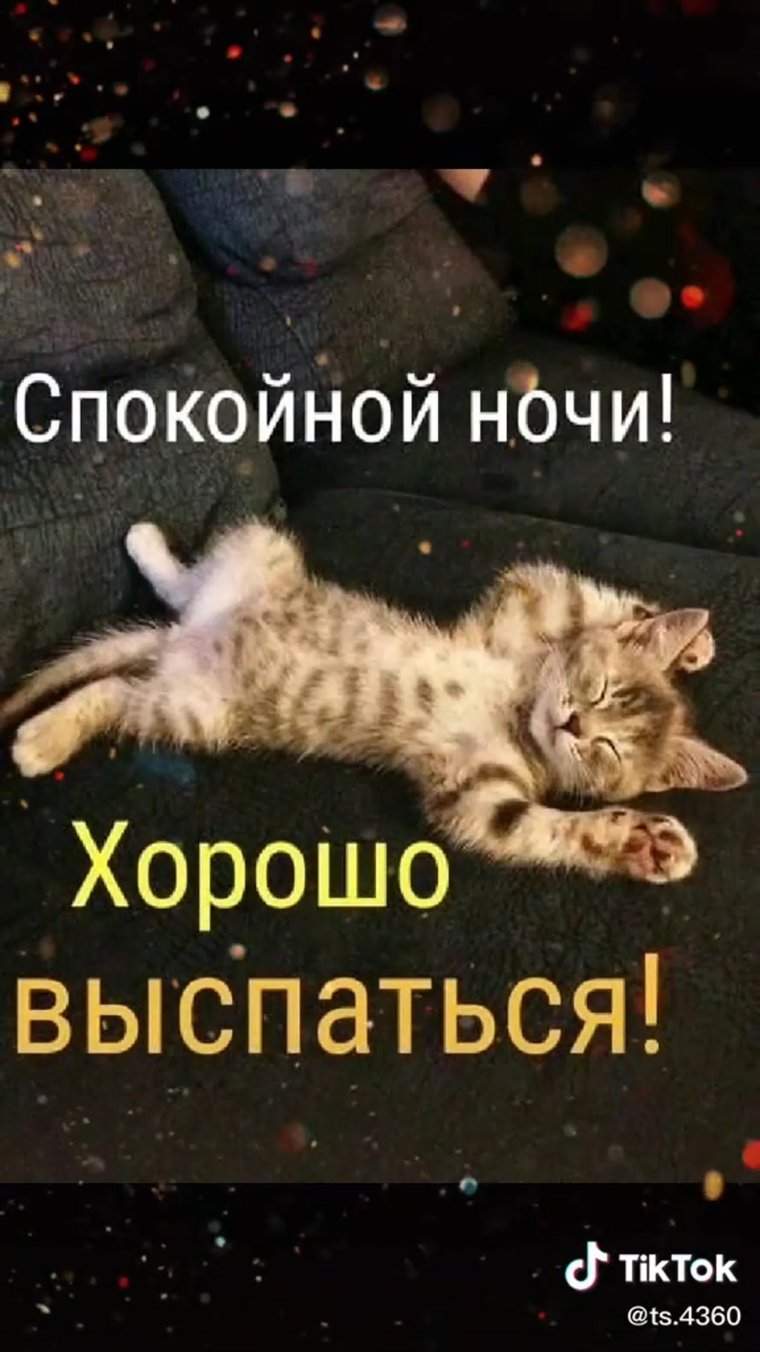 Спокойной ночи прикол