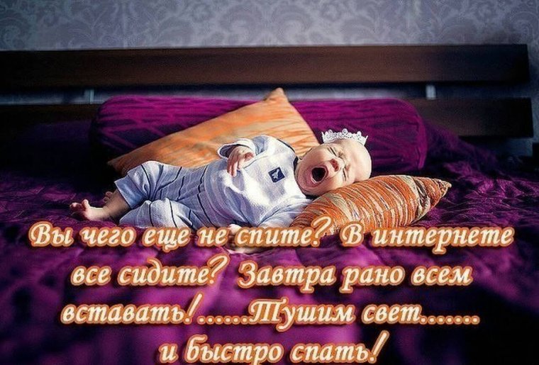 Прикольные пожелания спокойной ночи