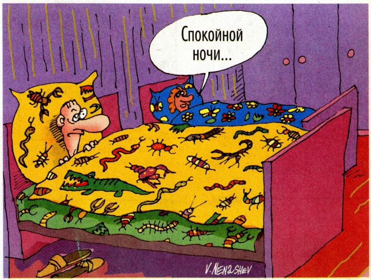 Спокойной ночи карикатура