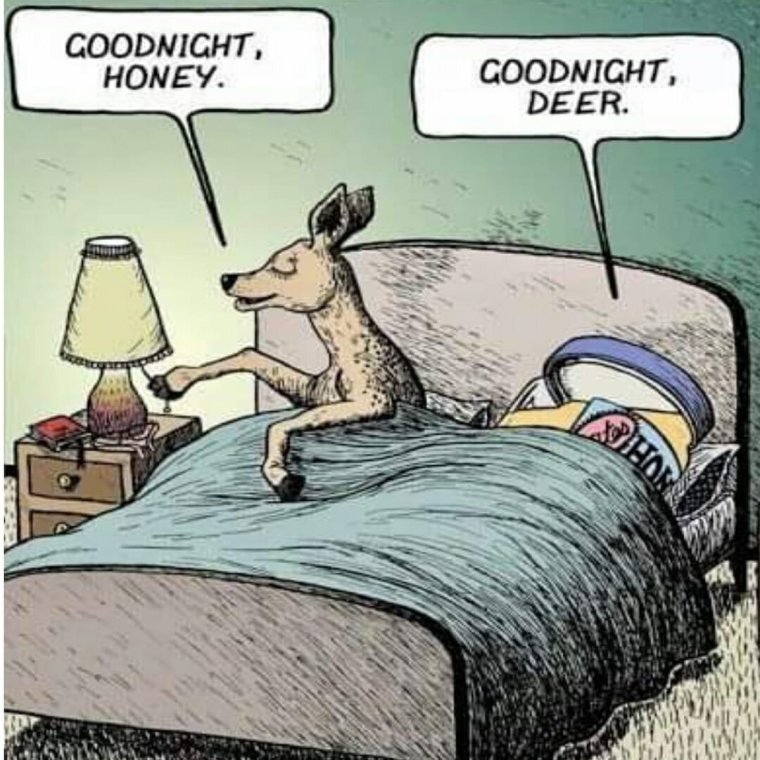 Юмор на ночь