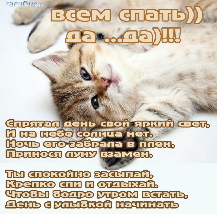 Спать пора спокойной ночи