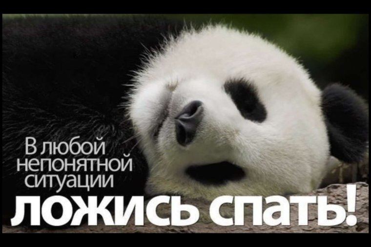 В любой непонятной ситуации ложись спать