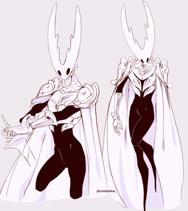 Hollow Knight герои