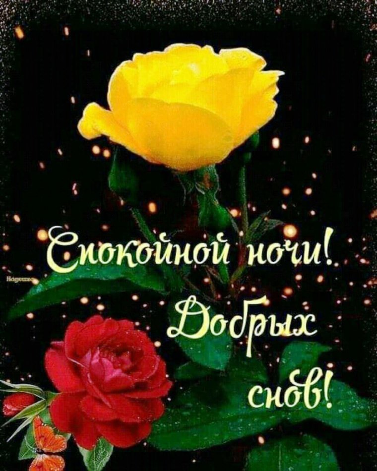 Доброго вечера и спокойной ночи