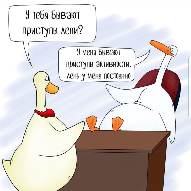 Гусь прикол