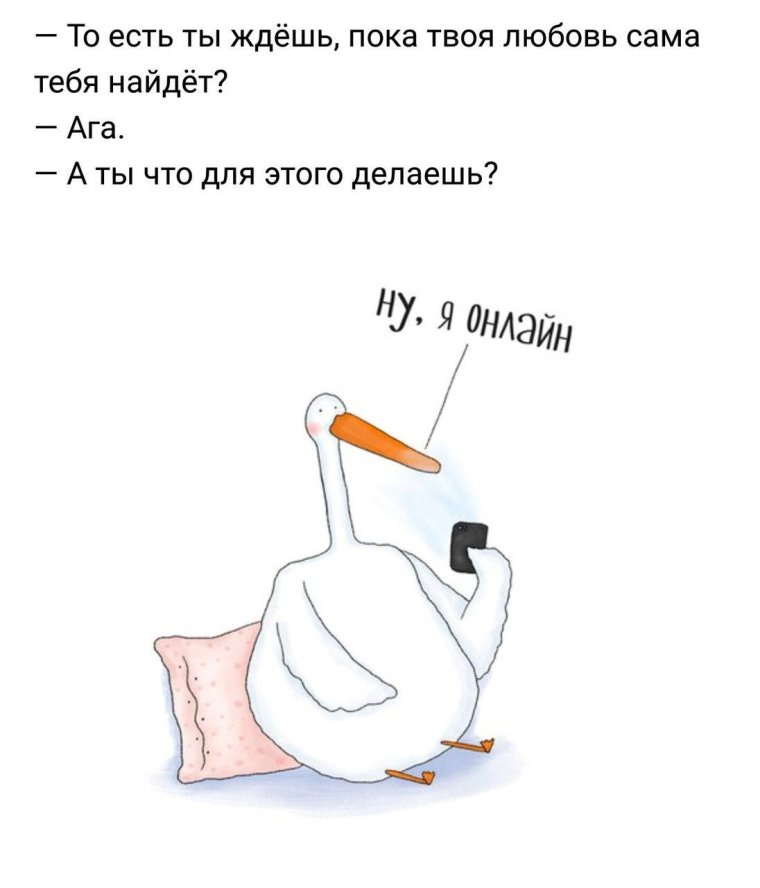 Приколы с гусем