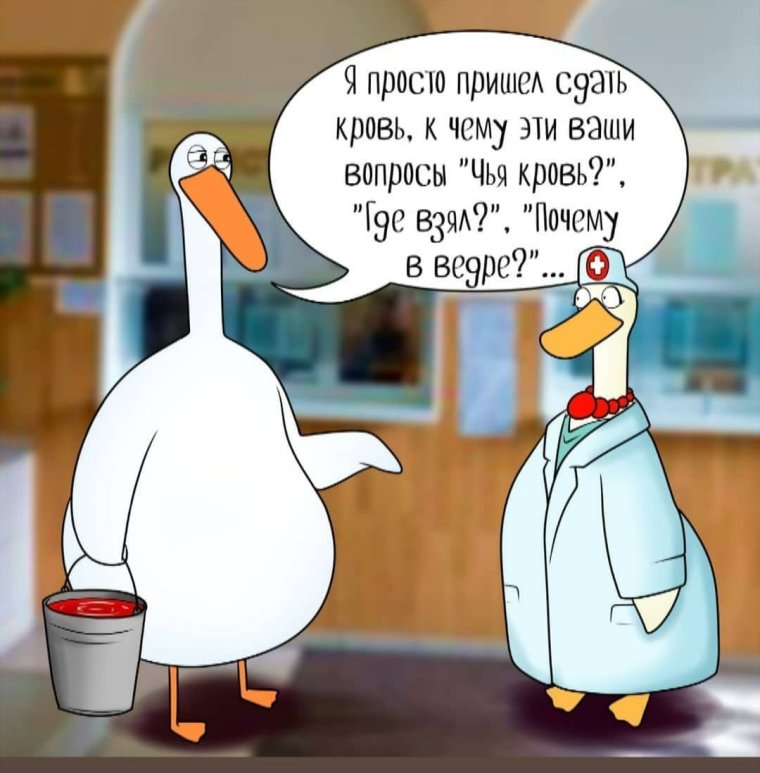 Гусь прикол