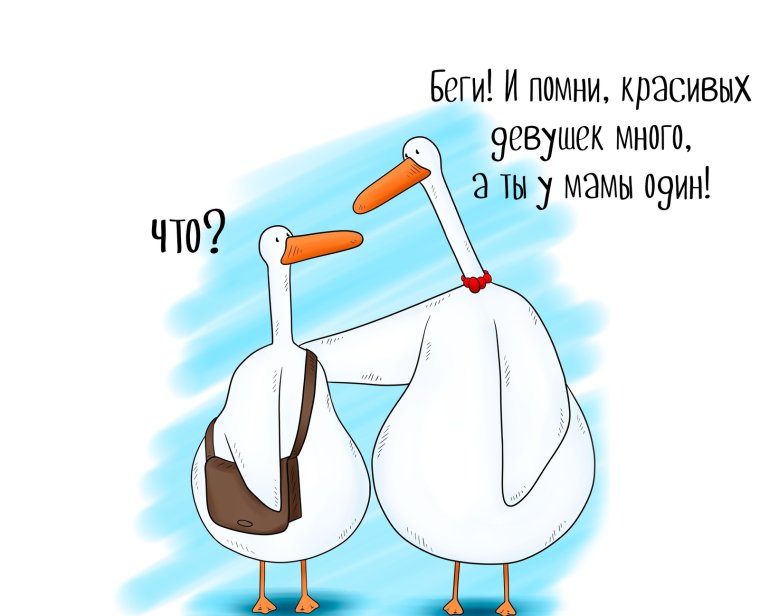 Смешные шутки про гусей