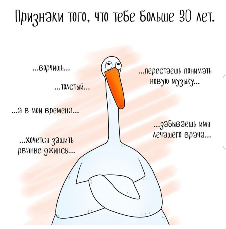 Гусь прикол