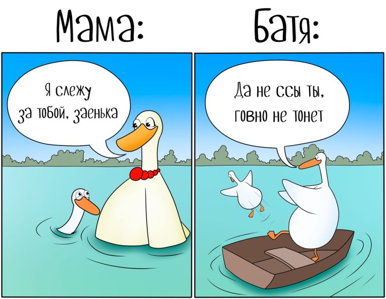 Гусь прикол