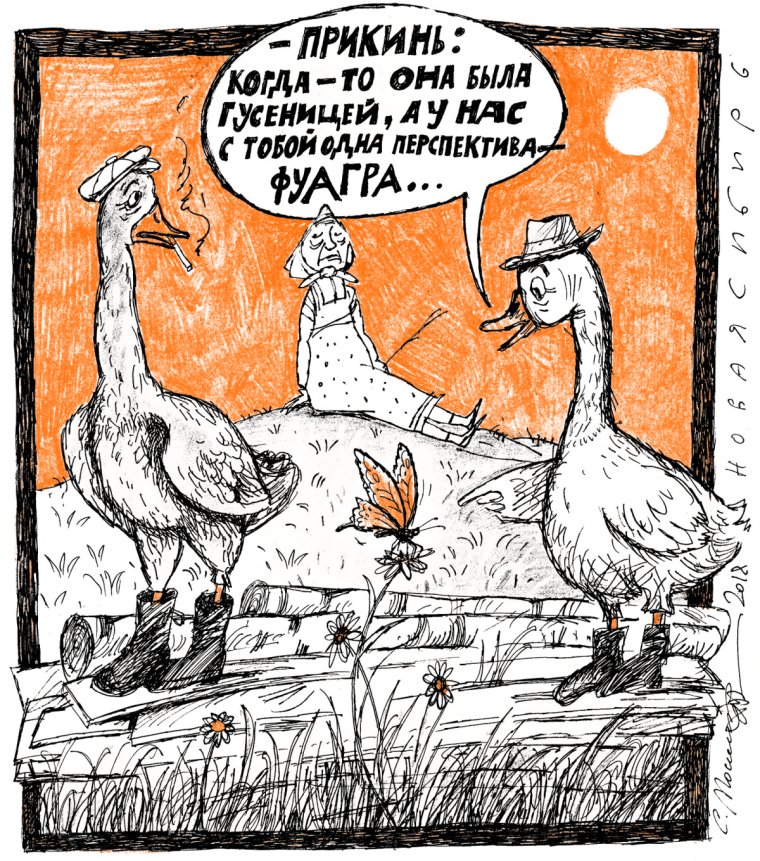 Гусь согревший маленького пса