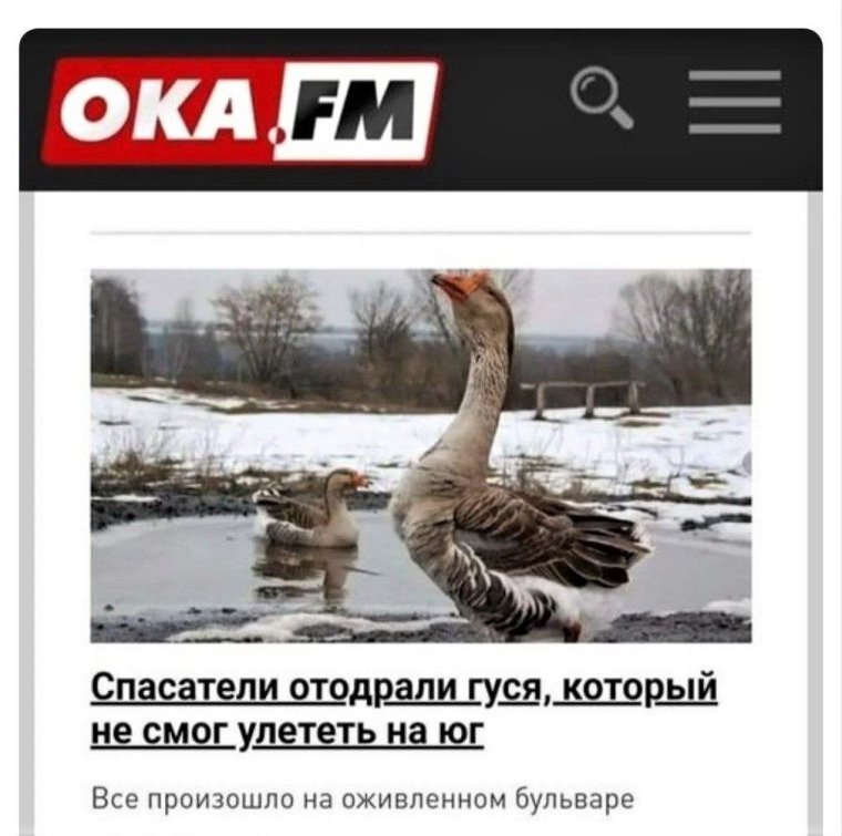 Гусик комикс