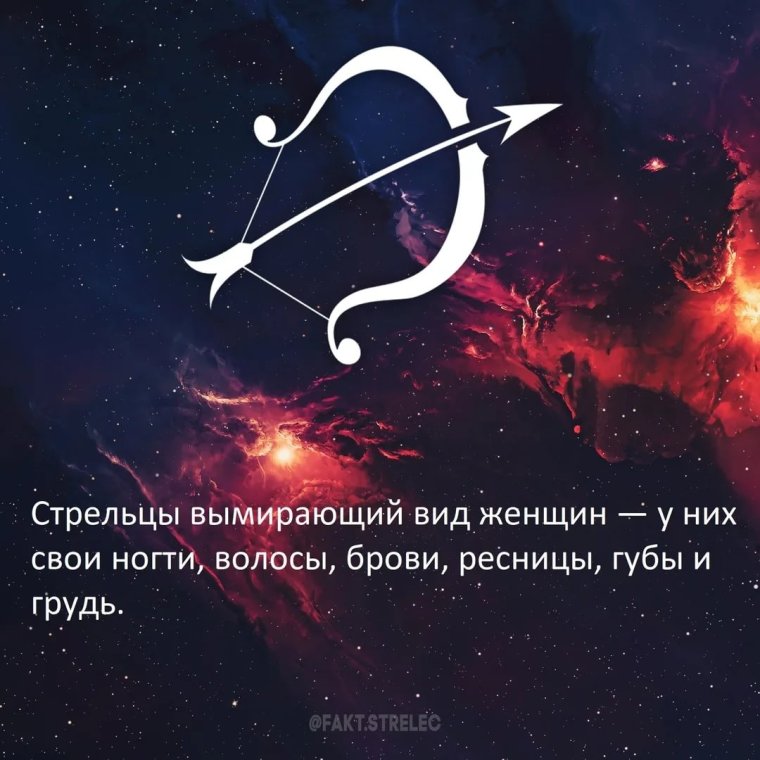Факты о Стрельцах