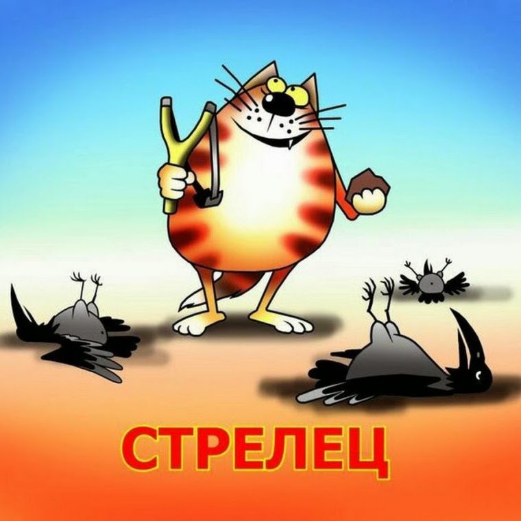 С днем рождения Стрелец