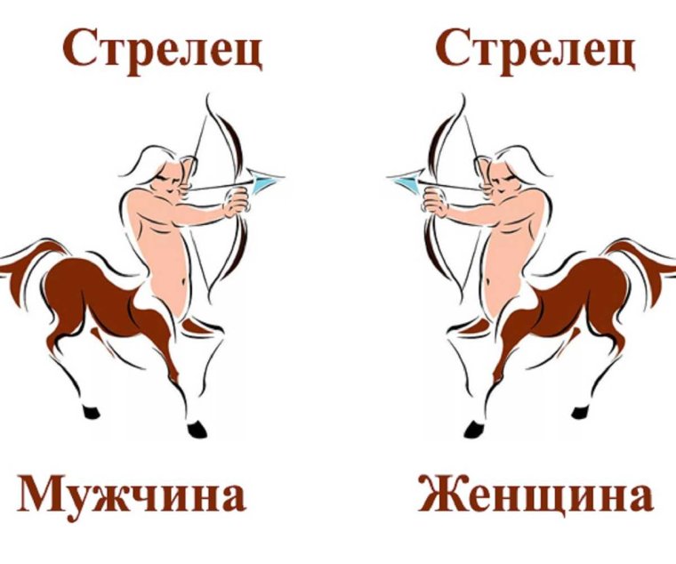 Стрелец и Стрелец