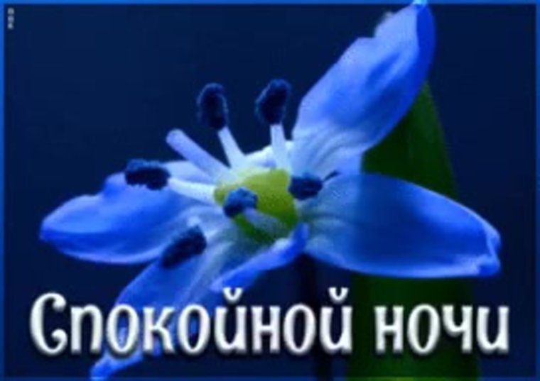 Доброй ночи на французском