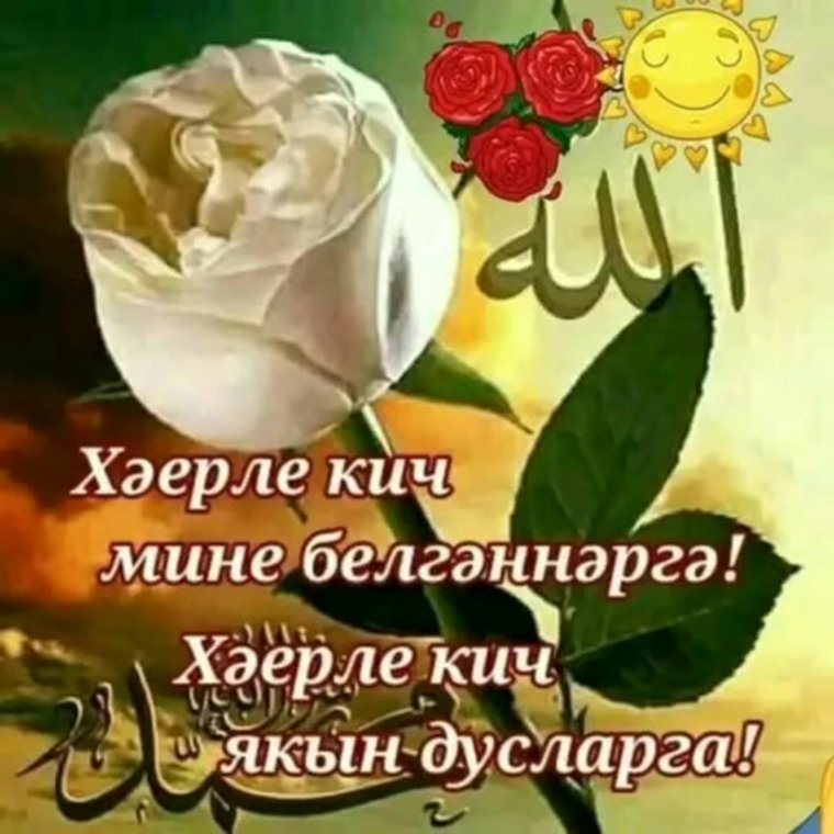 Открытка good Night