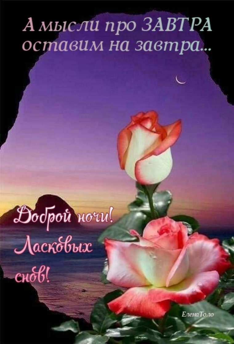 Новорожденный ребенок