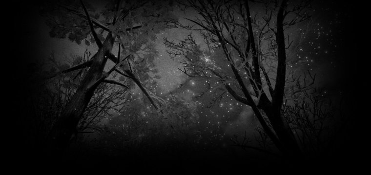 Фон профиля черно белый