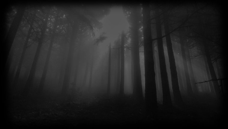 Фон профиля