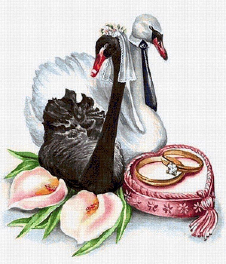 Свадебные плакаты