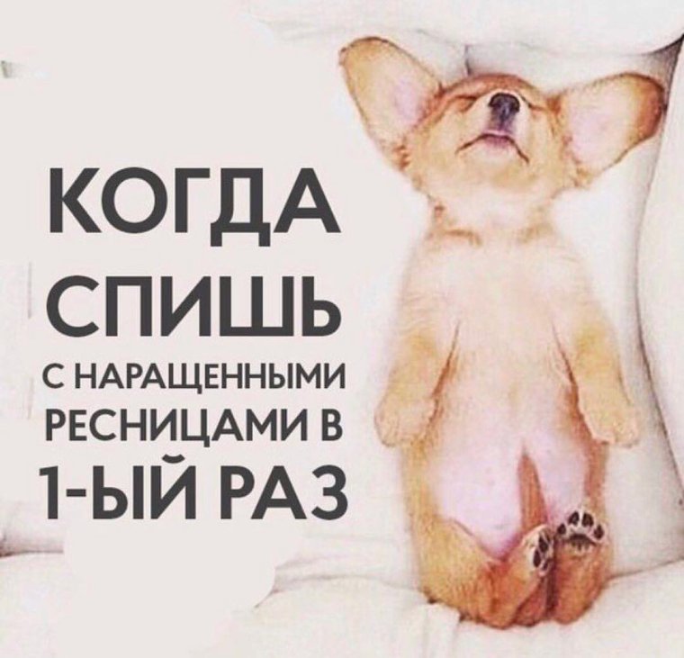 Шутки про наращивание ресниц