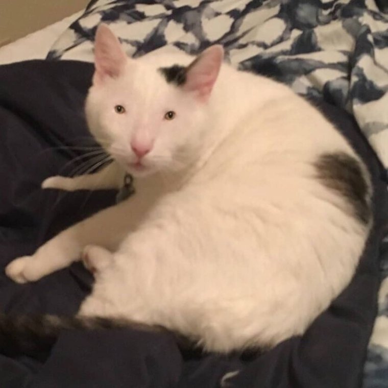 Когда сняла ресницы прикол