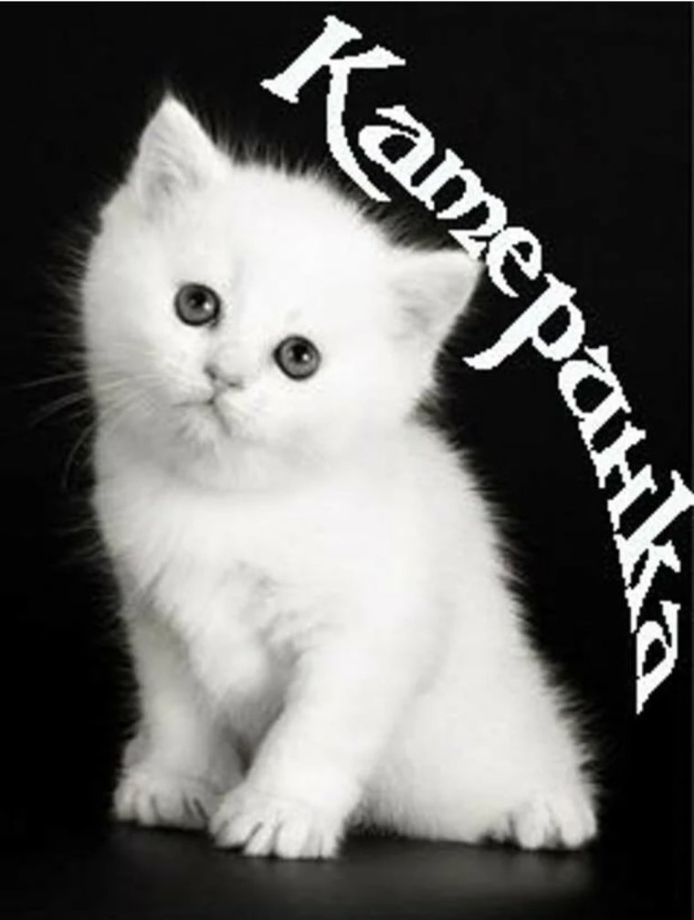 Катя имя надпись