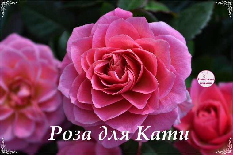 День согласия и примирения