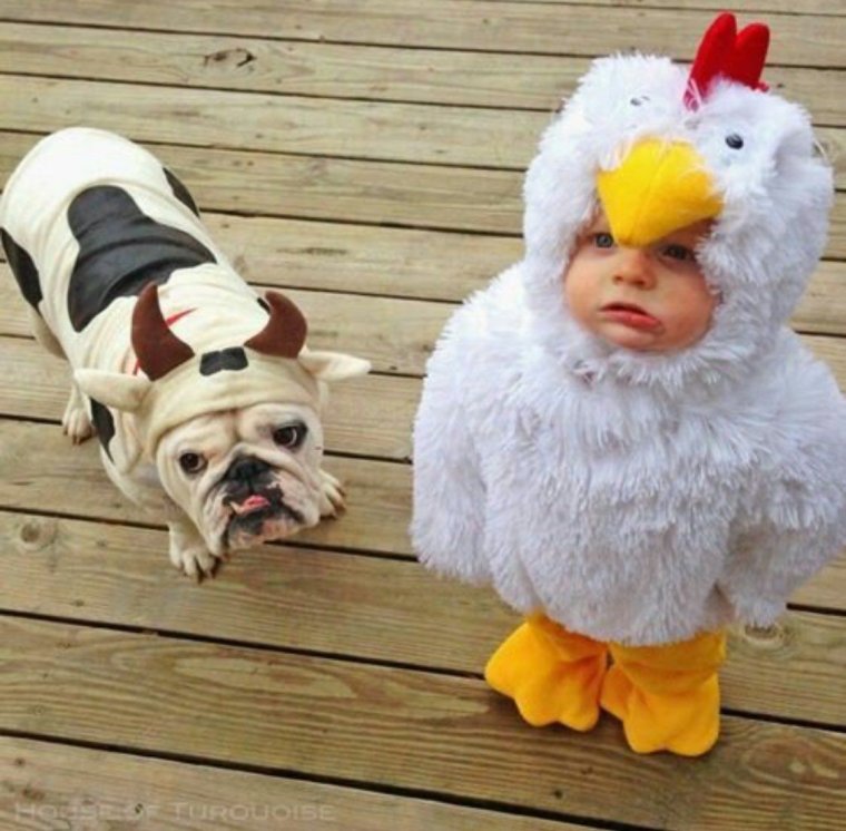 Прикольные костюмы для малышей