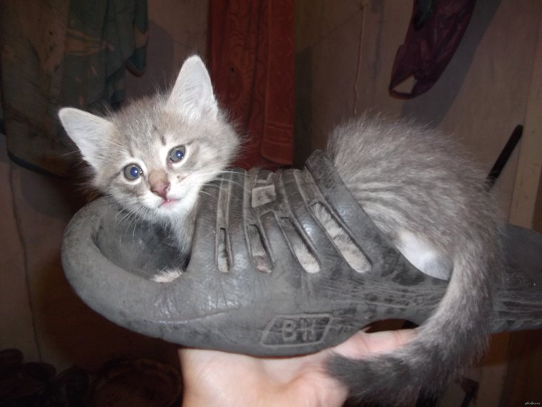 Не парься будь счастлив