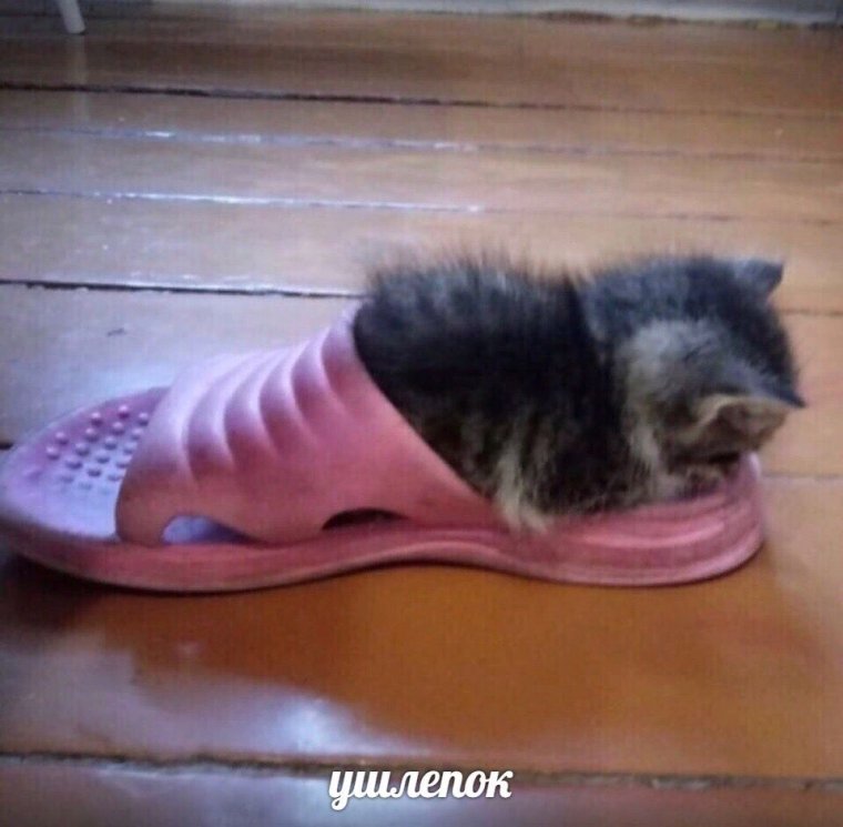 Сланцы на пляже